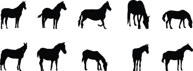 set of silhouettes of pets