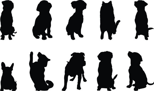 silhouettes of dog pets
