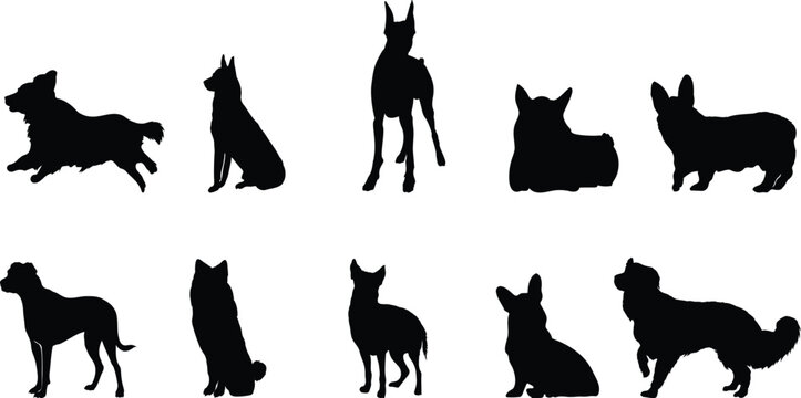 silhouettes of pet vector file