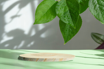 Wooden podium made of natural wood with green leaves on a light background with shadows. Presentation of eco-products, layout