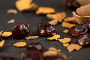 brown tamarind seeds on the table, scattered seeds