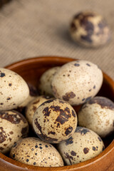 Fototapeta premium a large number of small spotted quail eggs on the table
