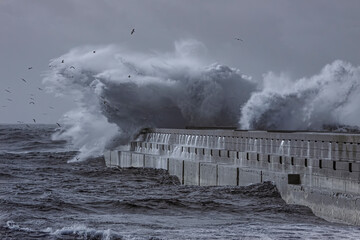 Huge stormy wave splash