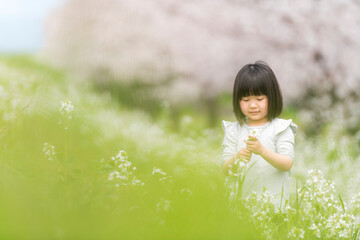 桜の咲く公園で遊ぶ女の子