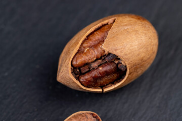fresh crop of pecans on the surface
