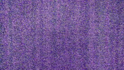 Abstract texture of purple grass surface for background design fill text