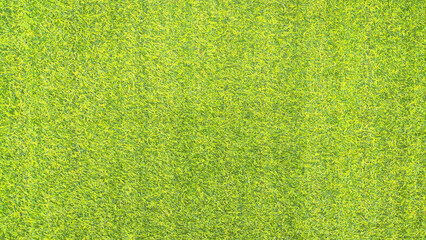 Abstract texture of fresh green red grass surface for background design fill text © SJarkCube