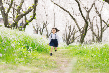 桜並木を走る幼稚園の制服を着た年長クラスの女の子