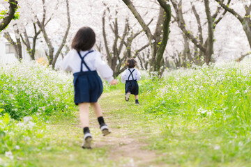 桜の並木道を走る幼稚園児の姉妹