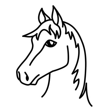 Illustration montrant la tête de cheval, dessinée au trait noir sur un fond blanc.