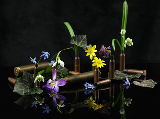 spring colored flowers with gun shells on the black background