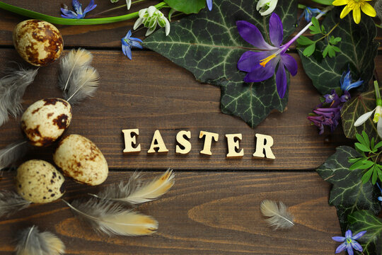 brown wooden background with spring flowers, leaves and copy space