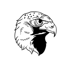 Hand drawn illustration of an eagle head outline