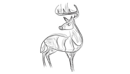 illustration of a deer