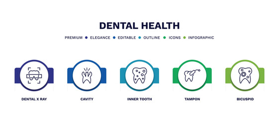 set of dental health thin line icons. dental health outline icons with infographic template. linear icons such as dental x ray, cavity, inner tooth, tampon, bicuspid vector.