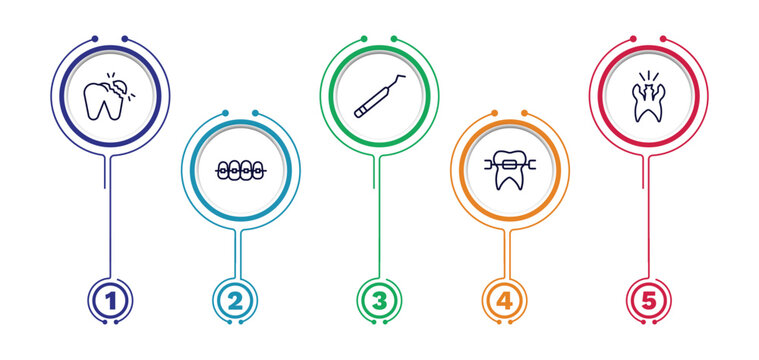 set of dental health thin line icons. dental health outline icons with infographic template. linear icons such as broken tooth, periodontal scaler, cavity, dental brackets, brackets vector.