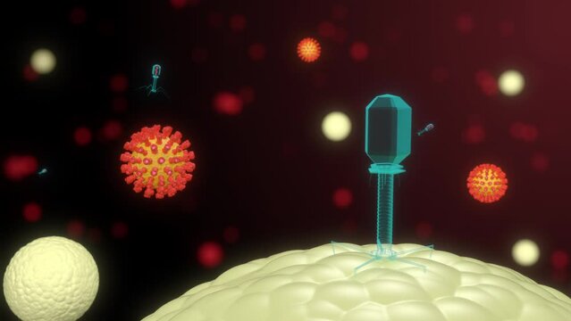 bacteriophages infect the cell mechanism of RNA injection into a living cell 4k