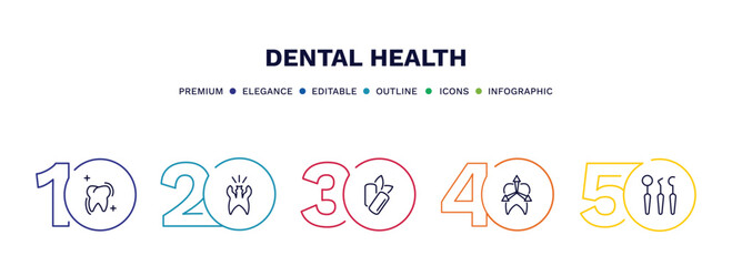 set of dental health thin line icons. dental health outline icons with infographic template. linear icons such as sealants, cavity, mint gum, intraoral, dentist tools vector.