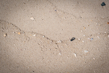 Fototapeta na wymiar Beach sand background closeup