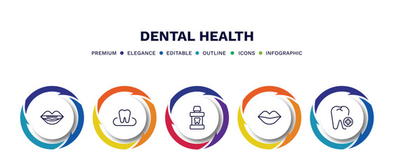 set of dental health thin line icons. dental health outline icons with infographic template. linear icons such as oral, occlusal, mouth wash, mouth, aid vector.