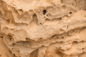 Abstract background of sandy rocks with holes close-up. The concept of soil erosion
