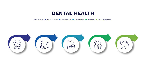 set of dental health thin line icons. dental health outline icons with infographic template. linear icons such as inner tooth, white teeth, dental checkup, dentist tools, tooth whitening vector.