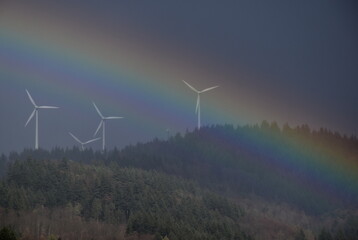 Obraz premium Regenbogen vor Windrädern in Freiburg