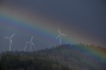 Regenbogen vor Windrädern in Freiburg