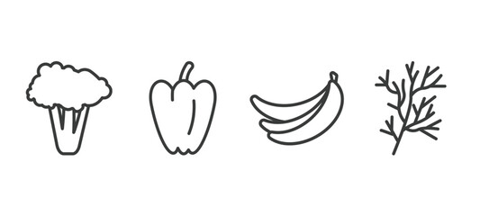 set of vegetables and fruits thin line icons. vegetables and fruits outline icons included broccoli, paprika, banana, dill vector.