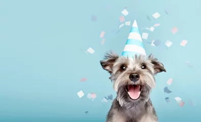 Rolgordijnen Cute happy dog celebrating at a birthday party © Ruth Black
