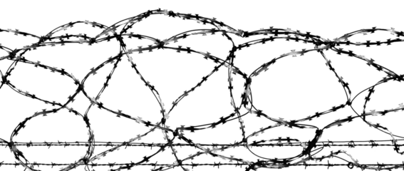 Jail. Prison wall with barbed wire on a white background. Law