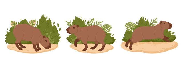 Wild capybaras. Cartoon herbivore mammals in natural habitat. Cute semi-aquatic animals flat vector illustration set