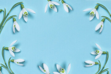 Creative layout with snowdrop flowers on a pastel blue background. Fresh snowdrops on blue background with place for text, top view with copy space.	

