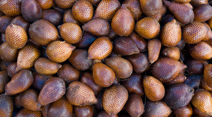  Salak (Salacca zalacca) close-up. Indonesia. Snake fruit