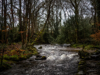 View of River Taw, Sticklepath, Devon. Dartmoor landscape.