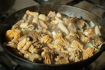 Edible mushroom Verpa bohemica being cooked in a cast iron skillet