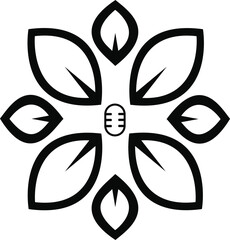 butterfly on white background