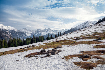 Beautiful Mountain Glade. Early spring. Panorama of snowy mountains. Rusinowa Polana, Tatra Mountains, Poland © p  a  t  r  i  c  k