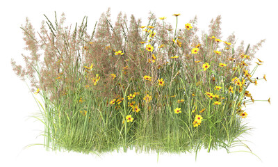 Various types of flowers grass bushes shrub and small plants isolated