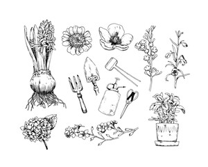 A set of house plants, tools for the garden, flowers. Collection of sketch vector illustrations.