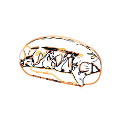 Hotdog color sketch with transparent background