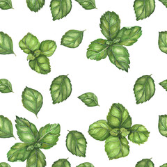 Vegan watercolor seamless pattern with basil branches