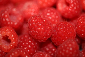 Fresh red cultivated ripe raspberries and currant berries, healthy food texture background angle view macro rubus phoenicolasius family rosaceae big size high quality botanical print