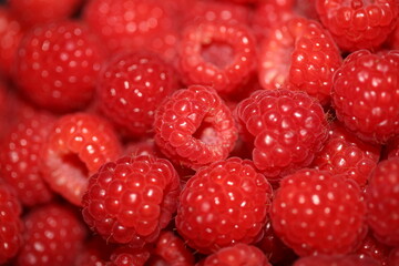 Fresh red cultivated ripe raspberries and currant berries, healthy food texture background angle view macro rubus phoenicolasius family rosaceae big size high quality botanical print