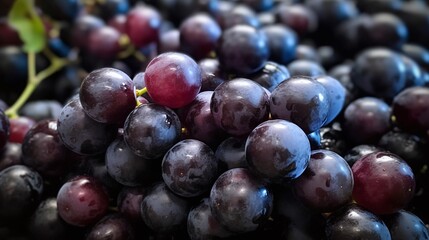 Close up of grapes