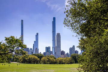 A view at the Central Park, New York, sunny day