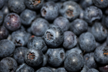 Fresh blueberries background top view concept of healthy and dieting eating big size high quality botanical prints vaccinium corymbosum family ericaceae