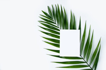 invitation on a tropical green leaf. White background wish space for text.