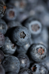 Fresh blueberries background top view concept of healthy and dieting eating big size high quality botanical prints vaccinium corymbosum family ericaceae