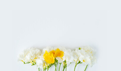 Beautiful white flowers on a white background. One yellow flower in the middle. Place under the text, top view.